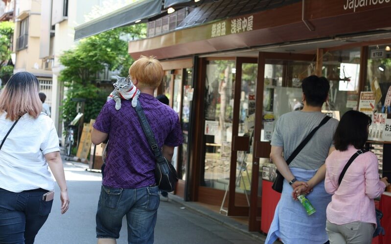 How Japan is Making Travel Easier for Tourists