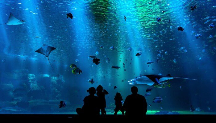 Sea Life London Aquarium