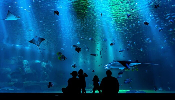 Sea Life London Aquarium 