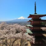 Why Japan Is Still One of the World's Most Popular Travel Destinations in 2026