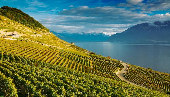 Lausanne Ouchy Promenade and Lavaux vineyards