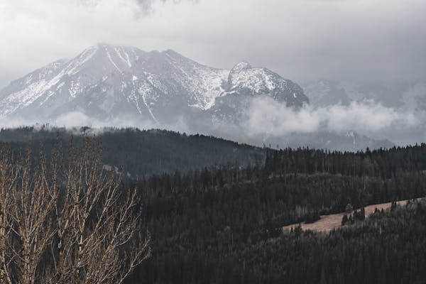 Zalipie Poland