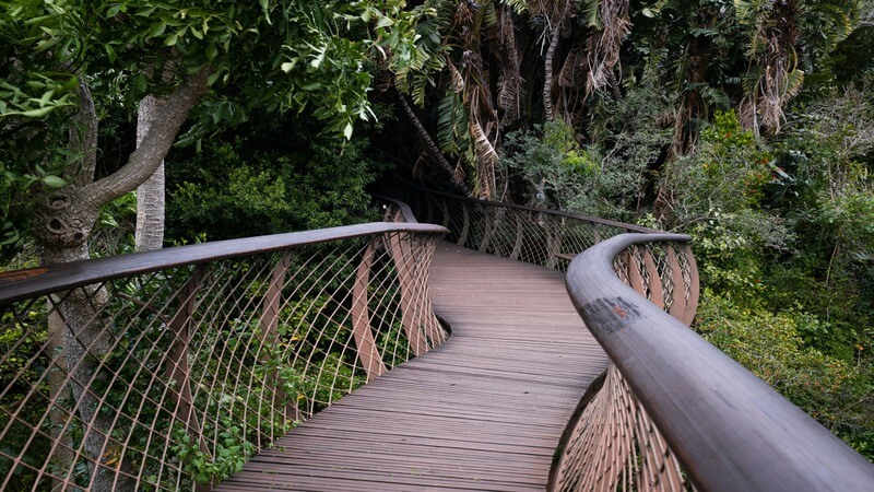 Kirstenbosch Botanical Gardens cape town