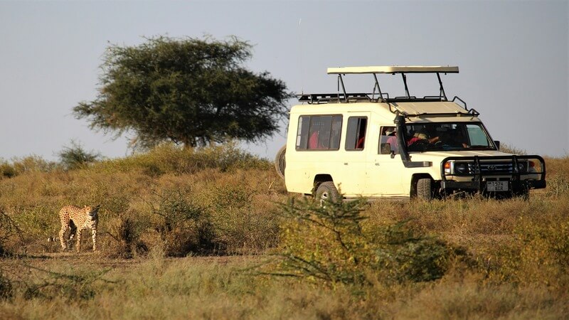 Kruger National Park South Africa