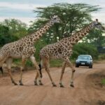 Top 10 National Parks in Africa