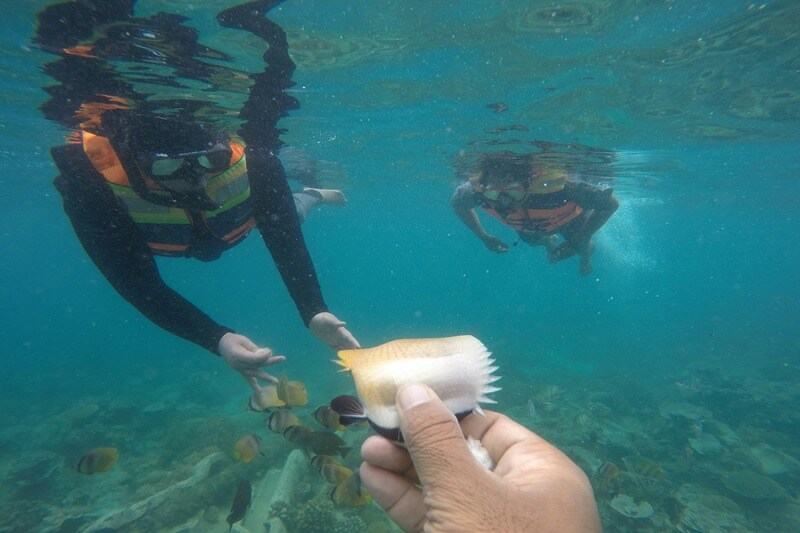 Amed The Quiet Coastal Village with Snorkeling Spots