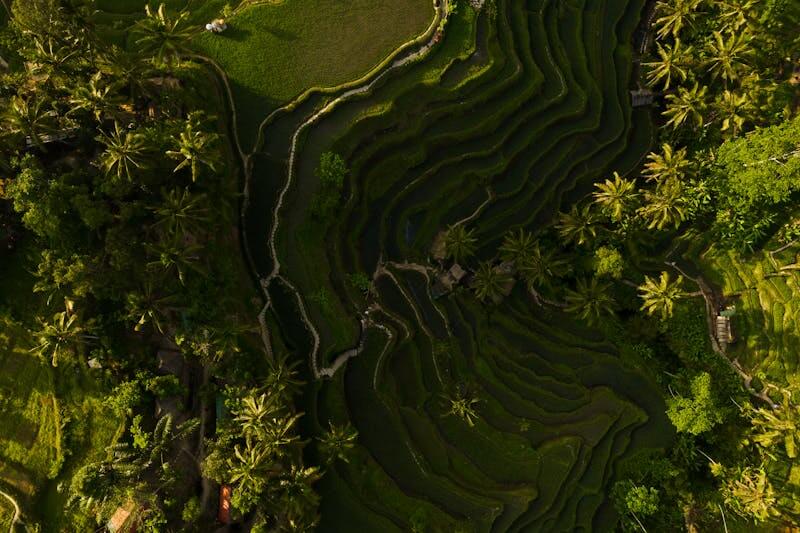 Sidemen Valley Ubud’s Peaceful Alternative